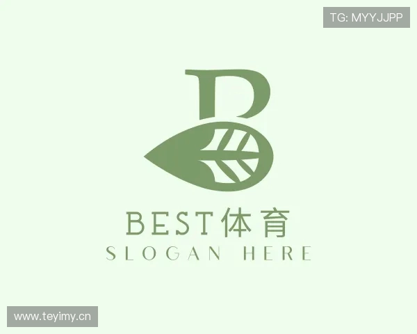 关于best体育